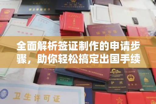北湖全面解析签证制作的申请步骤，助你轻松搞定出国手续