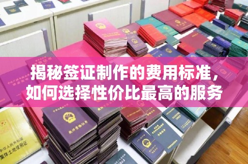 汉川揭秘签证制作的费用标准，如何选择性价比最高的服务？
