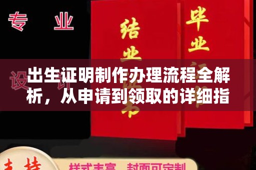 雨湖出生证明制作办理流程全解析，从申请到领取的详细指南